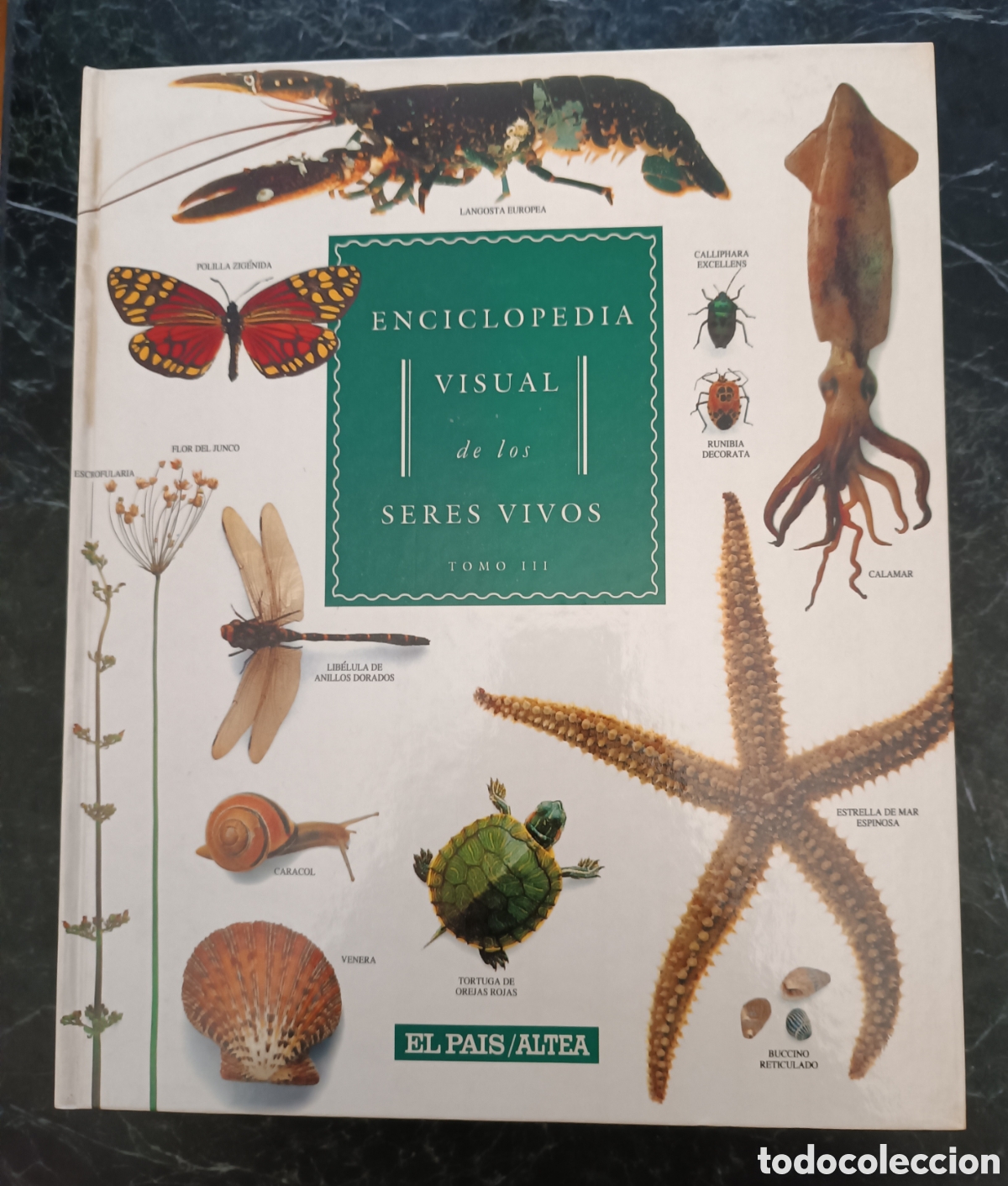 Libros de segunda mano: Enciclopedia visual de los seres vivos. - Foto 4