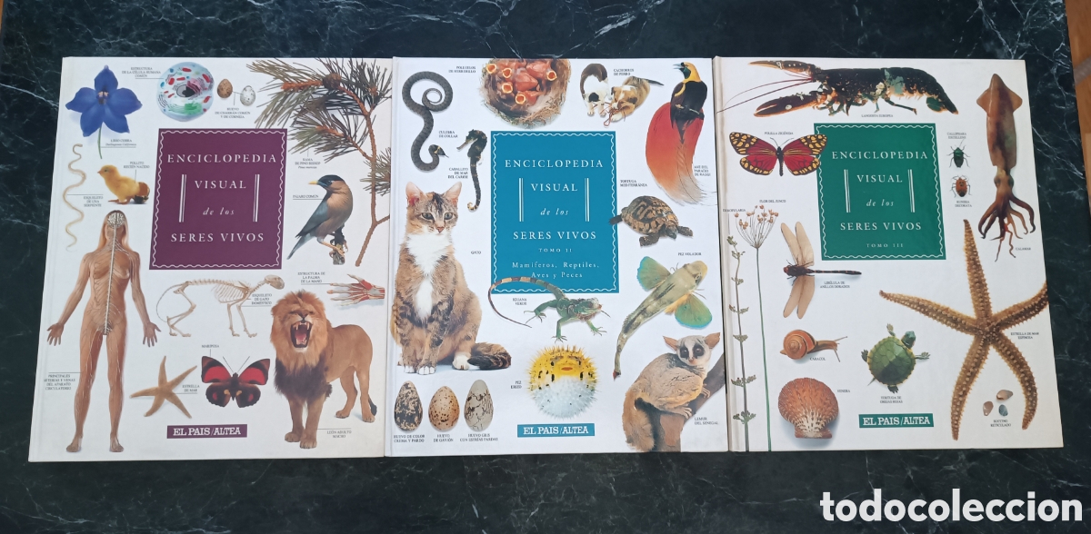 Libros de segunda mano: Enciclopedia visual de los seres vivos.