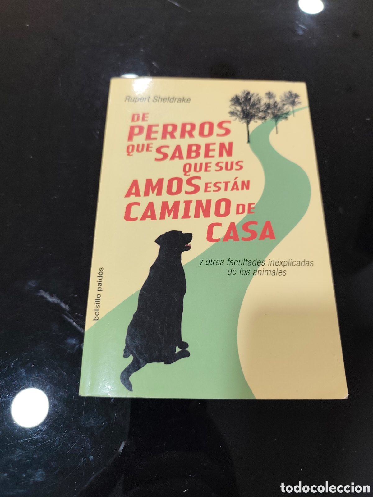 Libros de segunda mano: De perros que saben que sus amos est&aacute;n camino de casa. Rupert Sheldrake