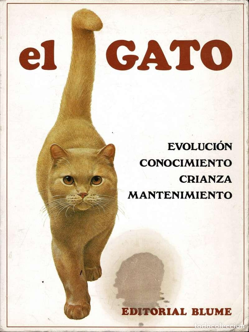 Libros de segunda mano: El gato. Evoluci&oacute;n, conocimiento, crianza, mantenimiento - Michael Wright, Sally Walters