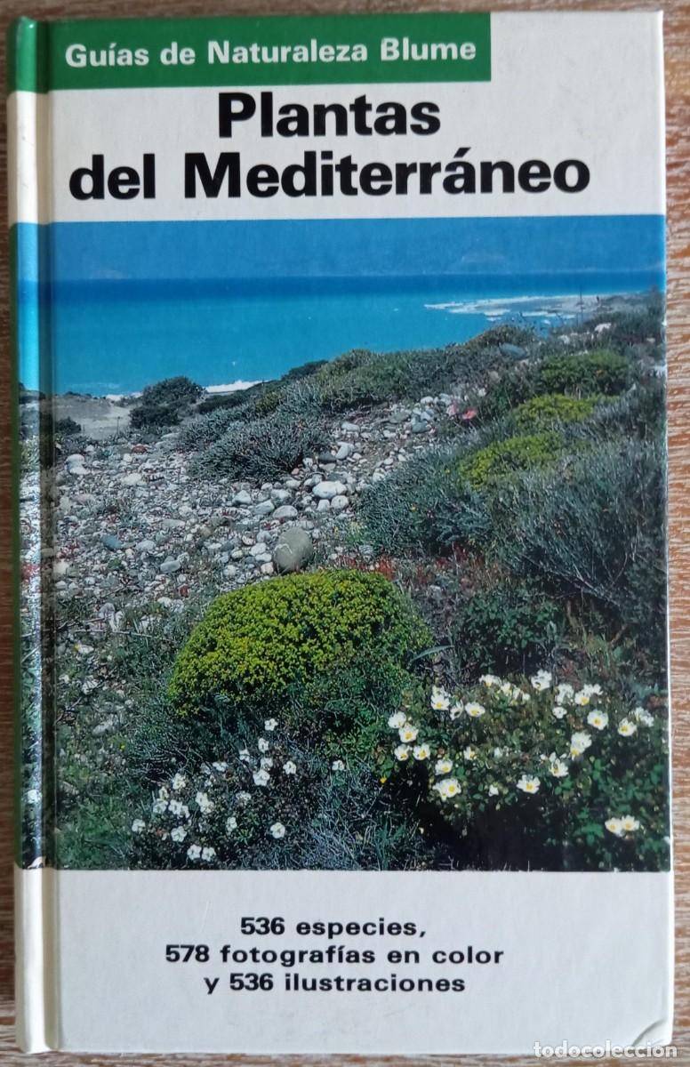 Libros de segunda mano: PLANTAS DEL MEDITERRANEO - GUIA BLUME