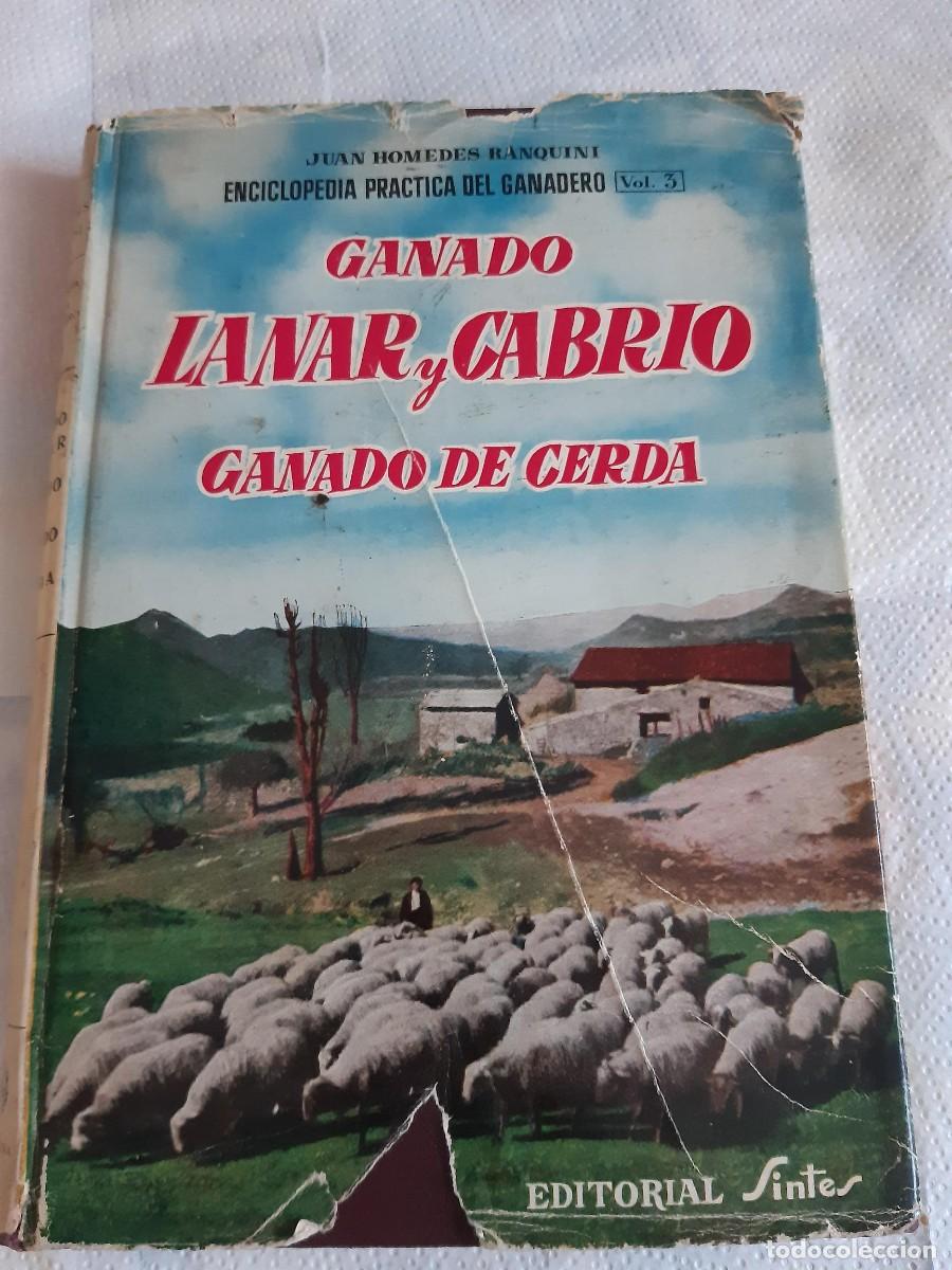 Libros de segunda mano: GANADO LANAR Y CABRIO GANADO DE CERDA JUAN HOMEDES