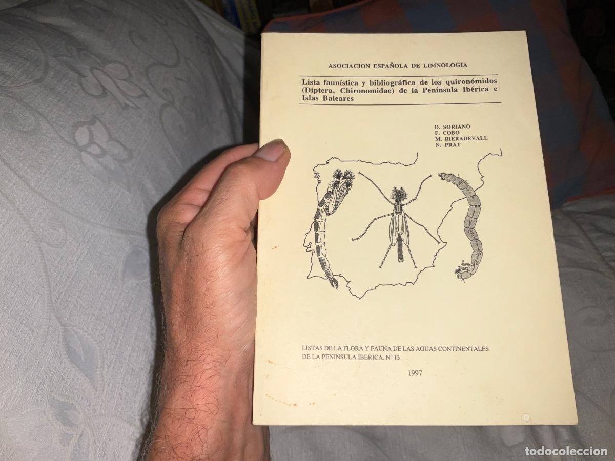 Libros de segunda mano: Lista faun&iacute;stica y bibliogr&aacute;fica de los quironomidos diptera de la pen&iacute;nsula ib&eacute;rica e islas ba