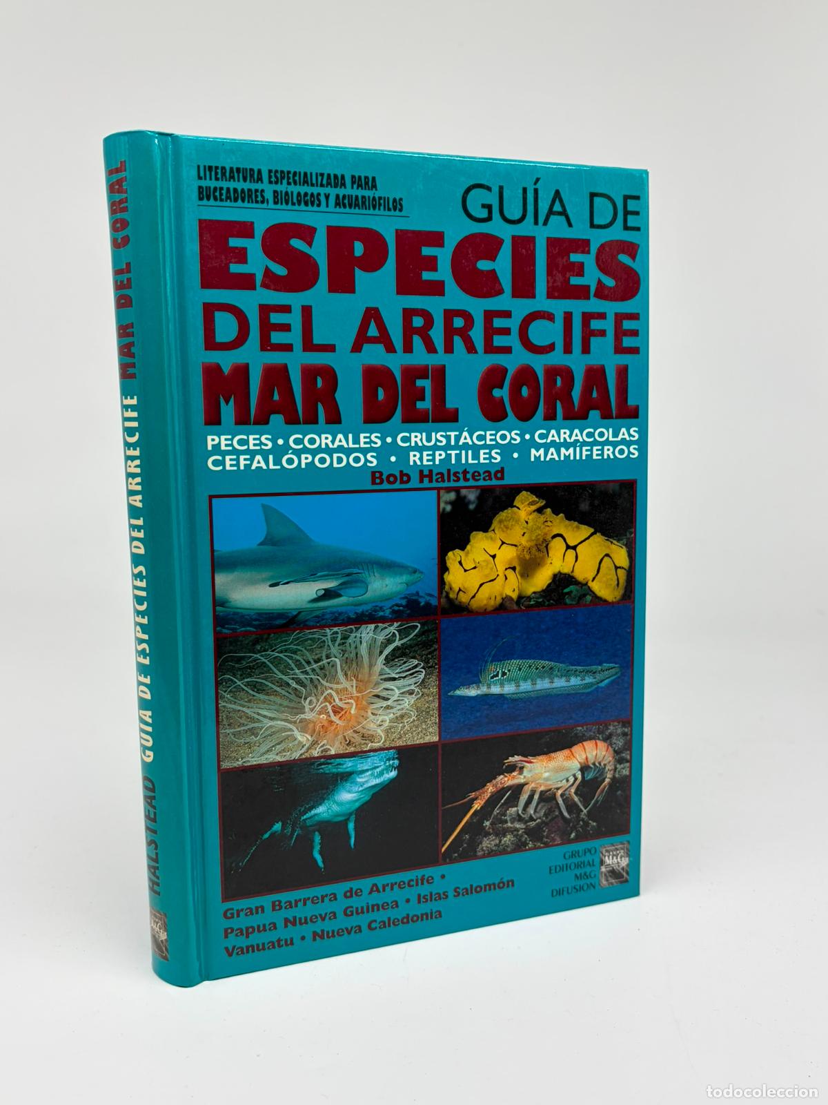 Libros de segunda mano: GUIA DE ESPECIES DEL ARRECIFE MAR DEL CORAL