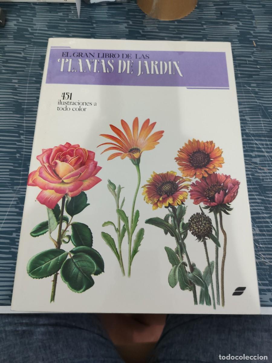 Libros de segunda mano: EL GRAN LIBRO DE LAS PLANTAS DE JARDIN,VLADIMIR MOLZER,MADRID,1989,311 P&Aacute;G.