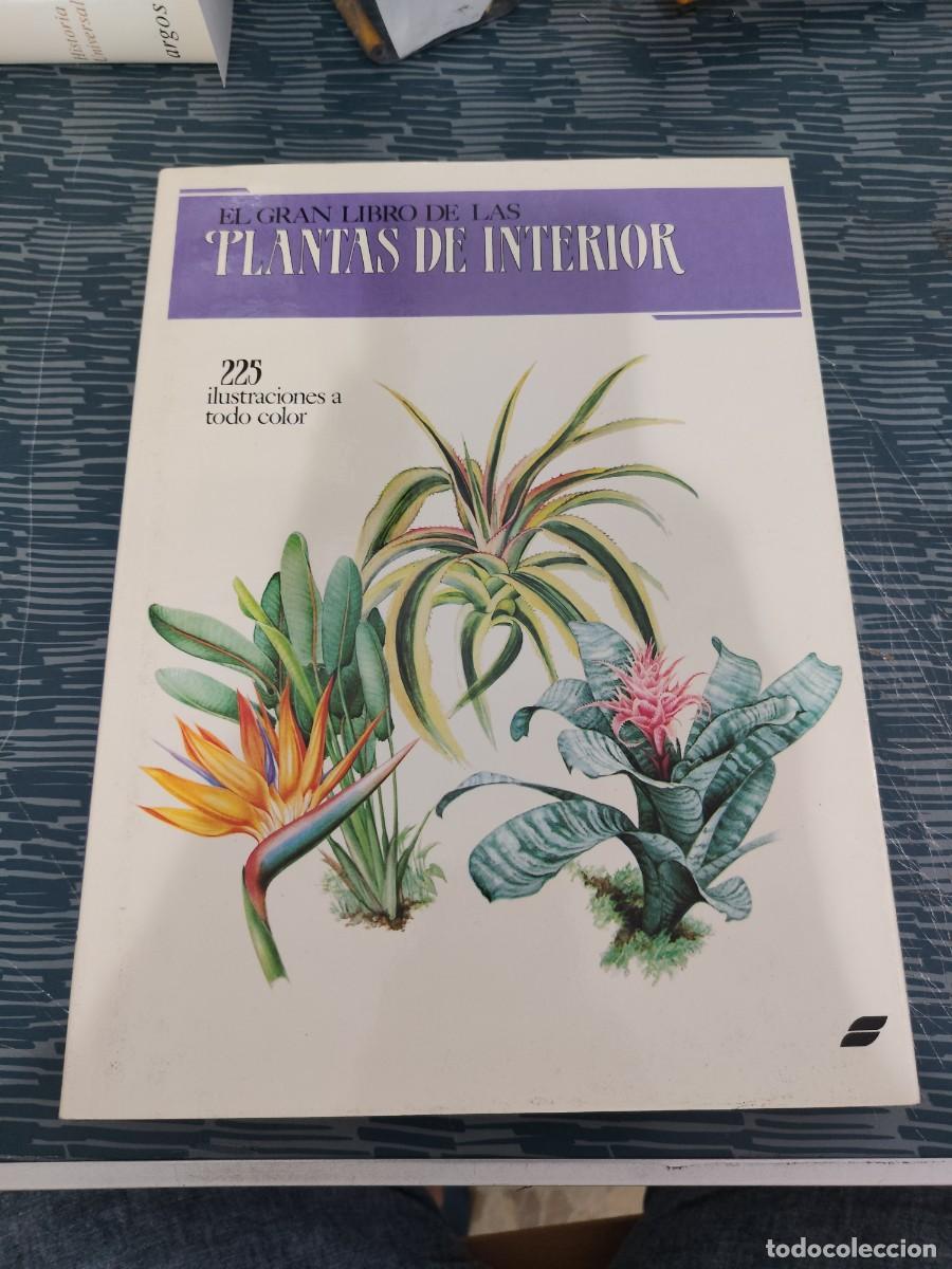 Libros de segunda mano: EL GRAN LIBRO DE LAS PLANTAS DE INTERIOR,JIRI HAAGER,1988,279 P&Aacute;GINAS.