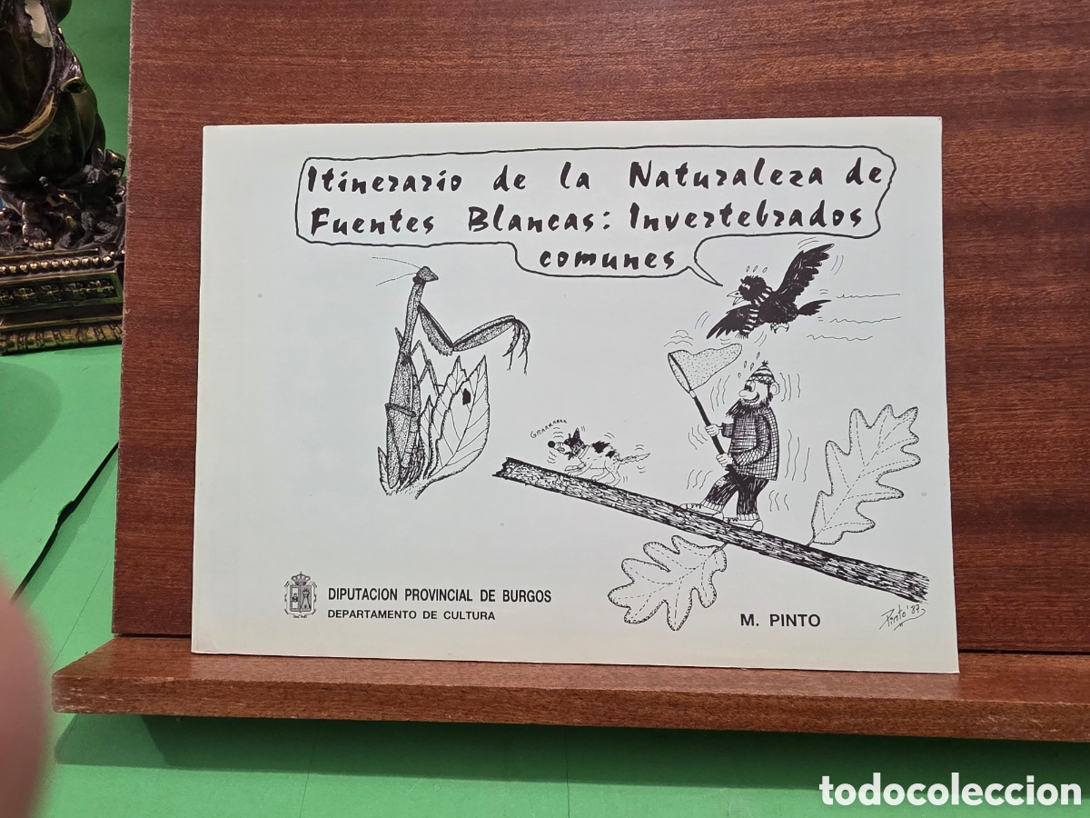 Libros de segunda mano: &rdquo;&rdquo;ITINERARIO DE LA NATURALEZA DE FUENTES BLANCAS:INVERTEBRADOS COMUNES&rdquo;&rdquo;...D. PROVINCIAL DE BURGOS..