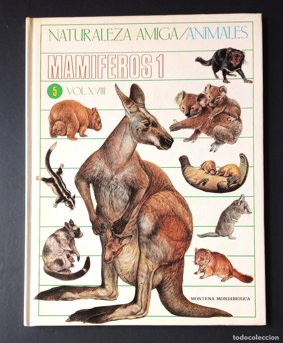 Libros de segunda mano: NATURALEZA AMIGA/ANIMALES MAM&Iacute;FEROS 1 VOL. XVIII - MONTENA-MONDIB&Eacute;RICA, 1985
