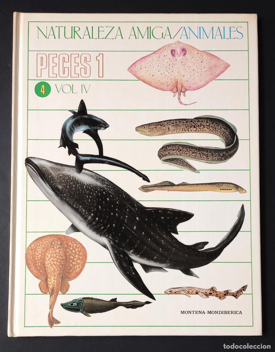 Libros de segunda mano: NATURALEZA AMIGA/ANIMALES PECES 1 VOL. IV - MONTENA-MONDIB&Eacute;RICA, 1985
