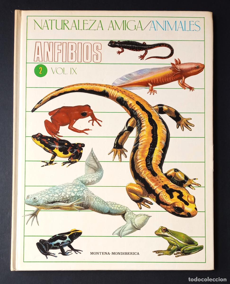 Libros de segunda mano: NATURALEZA AMIGA/ANIMALES ANFIBIOS 2 VOL. IX - MONTENA-MONDIB&Eacute;RICA, 1985