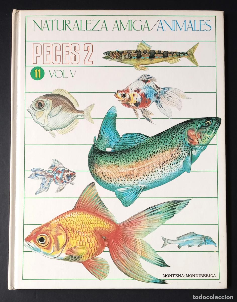 Libros de segunda mano: NATURALEZA AMIGA/ANIMALES PECES 2 VOL. V - MONTENA-MONDIB&Eacute;RICA, 1985