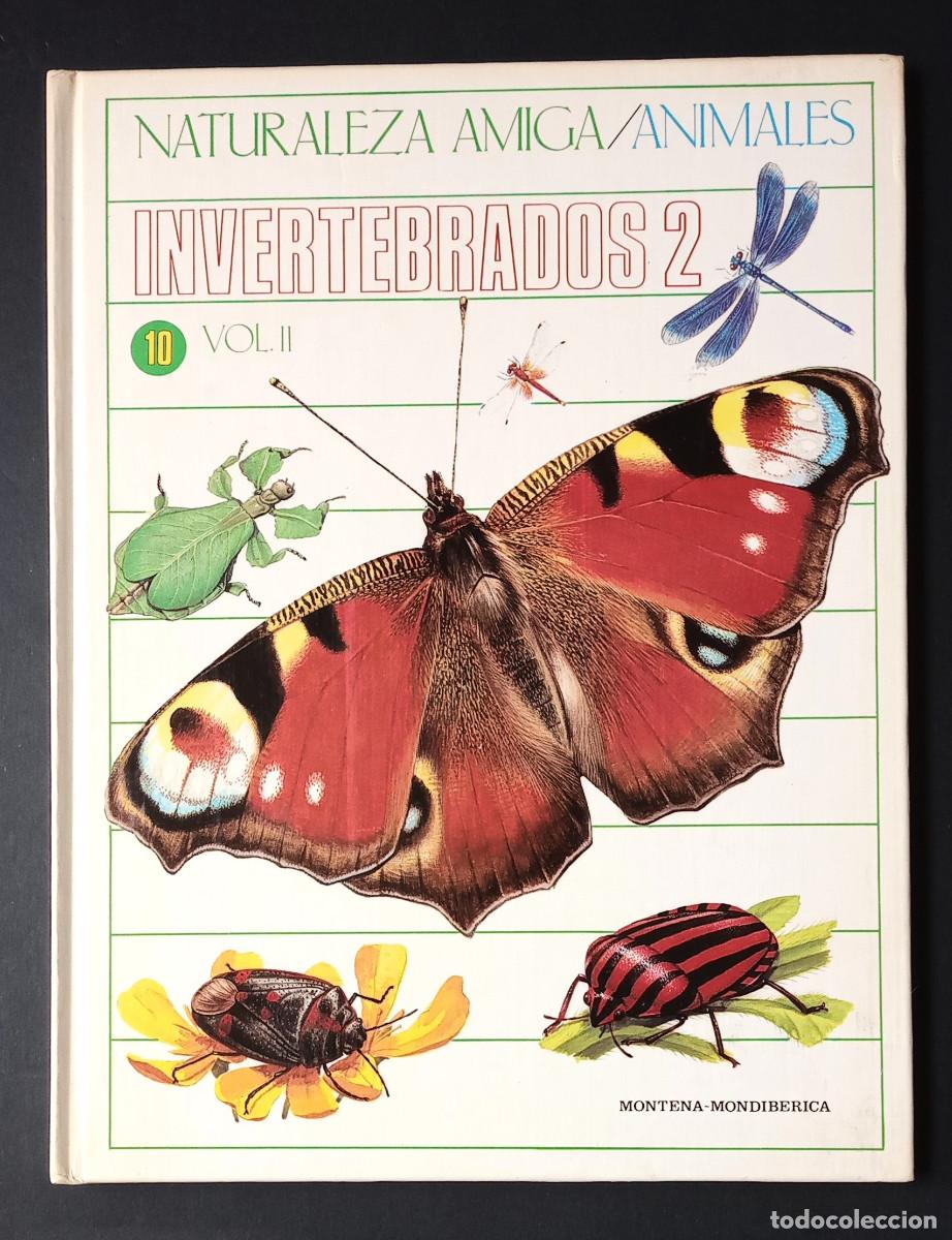 Libros de segunda mano: NATURALEZA AMIGA/ANIMALES INVERTEBRADOS 2 VOL. II - MONTENA-MONDIB&Eacute;RICA, 1985