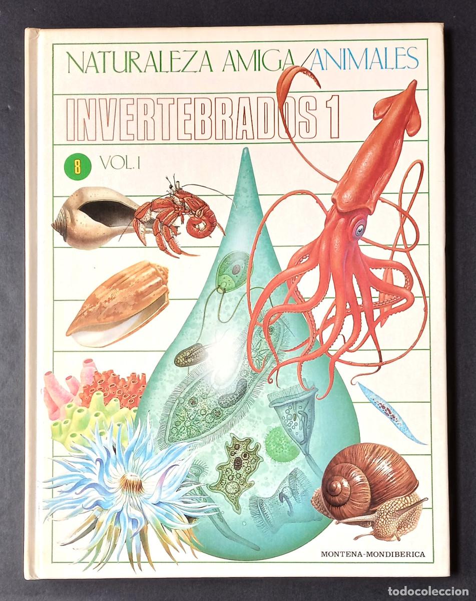 Libros de segunda mano: NATURALEZA AMIGA/ANIMALES INVERTEBRADOS 1 VOL. I - MONTENA-MONDIB&Eacute;RICA, 1985