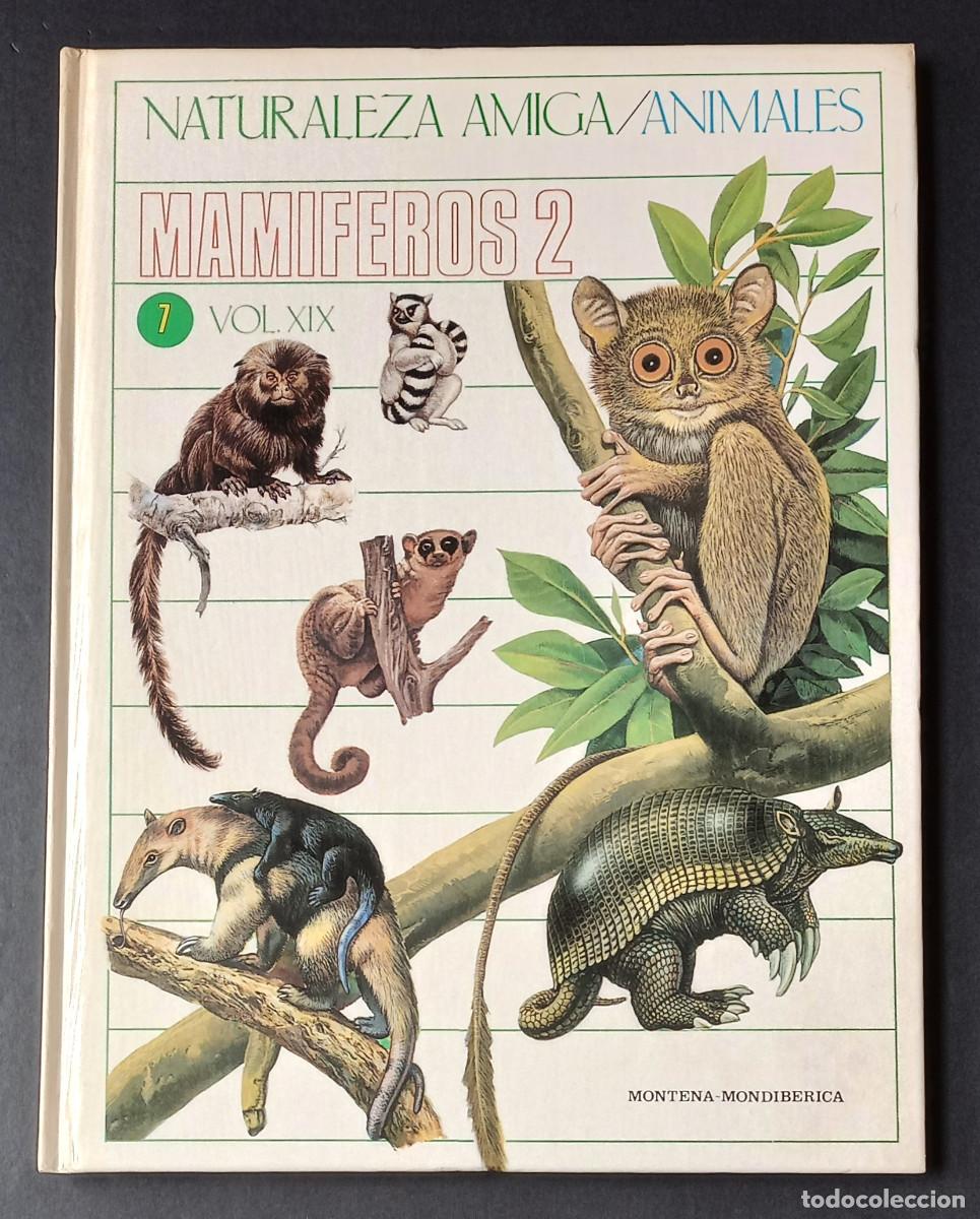Libros de segunda mano: NATURALEZA AMIGA/ANIMALES MAM&Iacute;FEROS 2 VOL. XIX - MONTENA-MONDIB&Eacute;RICA, 1985