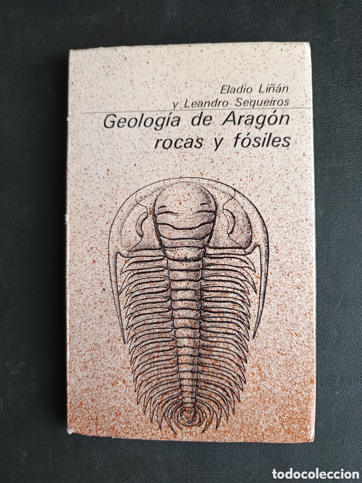 Libros de segunda mano: Geolog&iacute;a de Arag&oacute;n: rocas y f&oacute;siles. Li&ntilde;&aacute;n Guijarro, Eladio; Sequeiros, Leandro (1978).