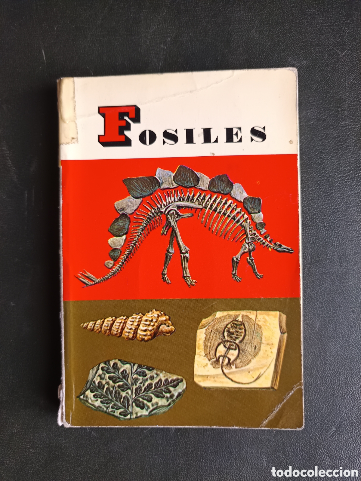 Libros de segunda mano: FOSILES - PEQUE&Ntilde;A BIBLIOTECA DAIMON 114 - ED. DAIMON