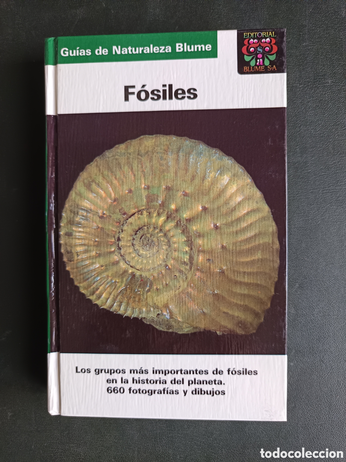 Libros de segunda mano: GUIA DE NATURALEZA BLUME. FOSILES