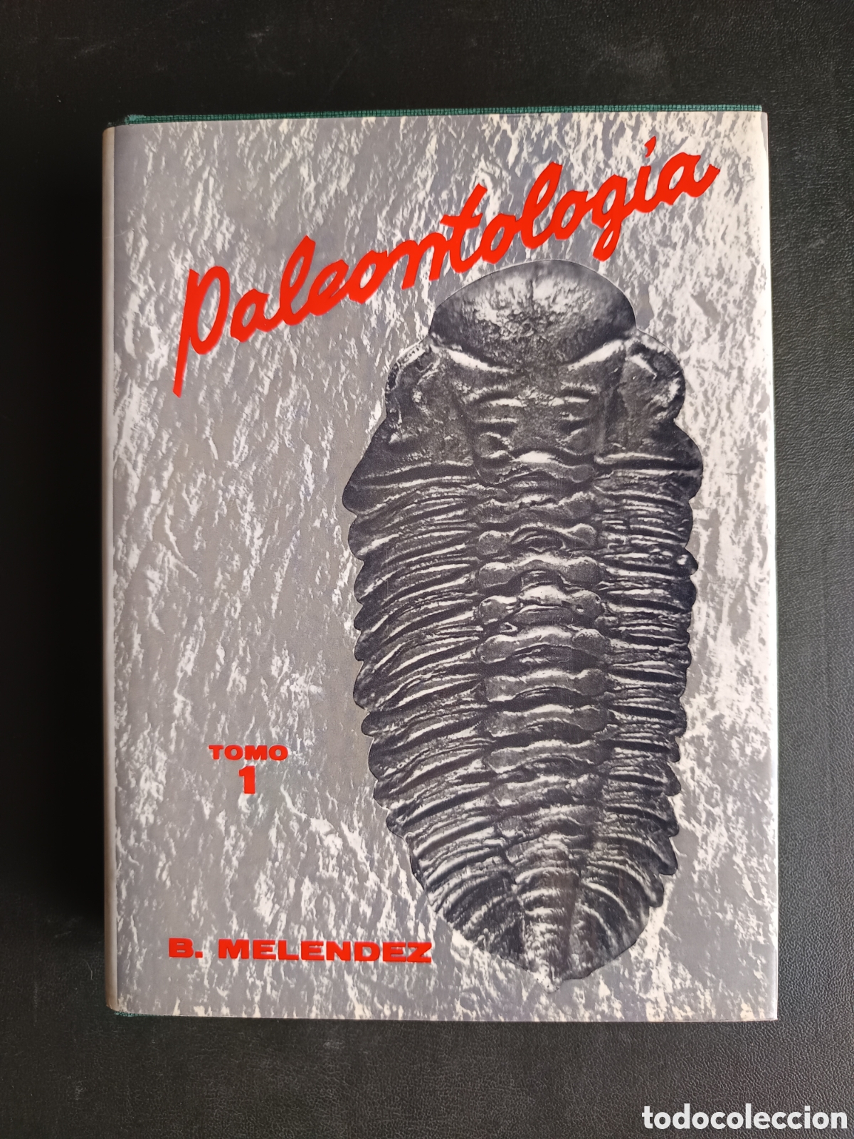 Libros de segunda mano: PALEONTOLOG&Iacute;A, TOMO I. B. MELENDEZ. ED. PARANINFO, 1977