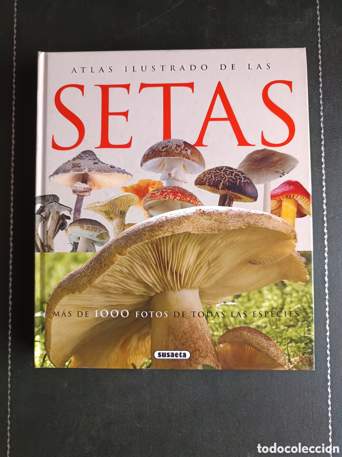 Libros de segunda mano: Atlas ilustrado de las setas - Lamaison, Jean-Louis;Polese, Jean-Marie