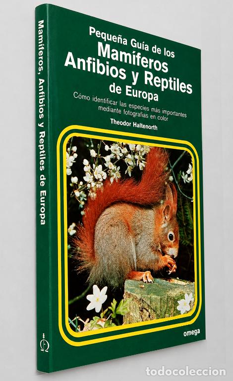 Libros de segunda mano: �M700 - MAMIFEROS ANFIBIOS Y REPTILES DE EUROPA. IDENTIFICACION DE ESPECIES. GUIA. ED. OMEGA.