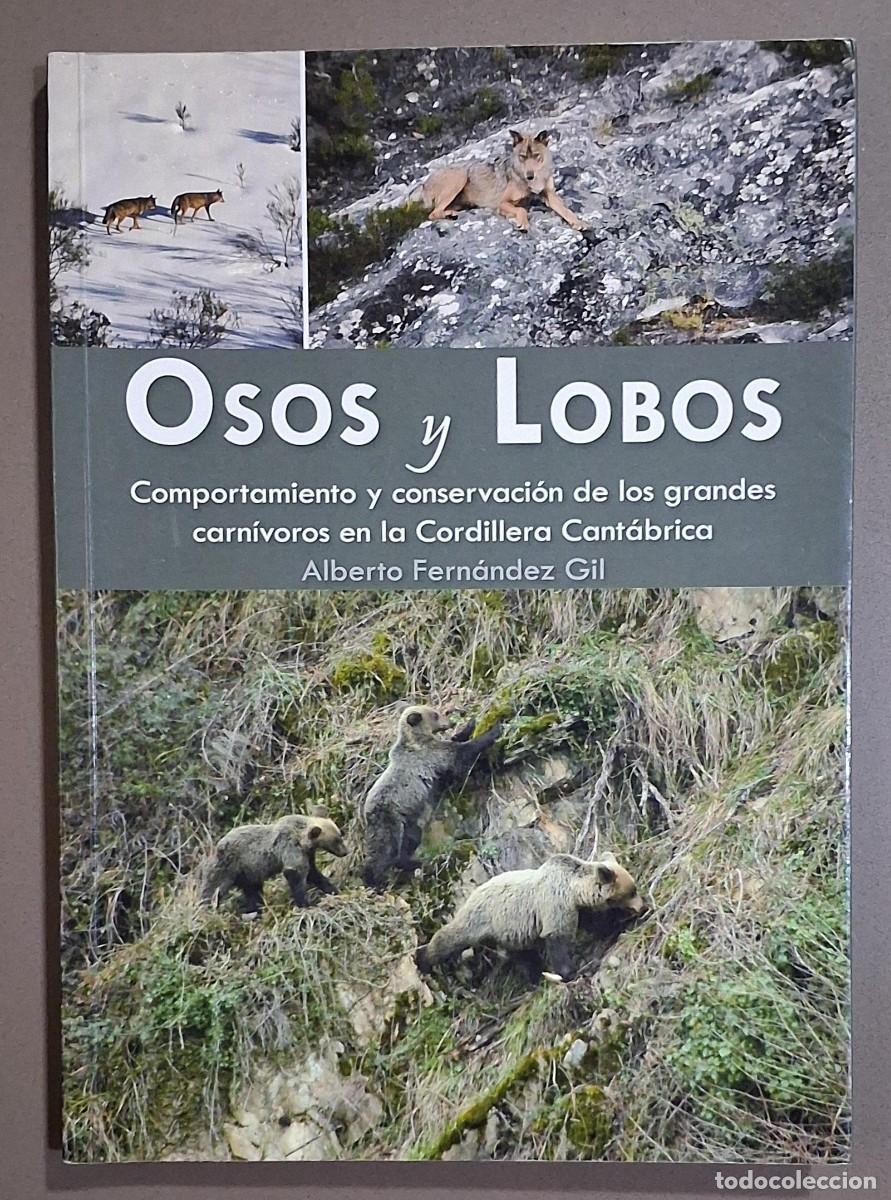 Libros de segunda mano: Osos y Lobos. Comportamiento y conservaci&oacute;n de los grandes carn&iacute;voros en la Cordillera Cant&aacute;brica