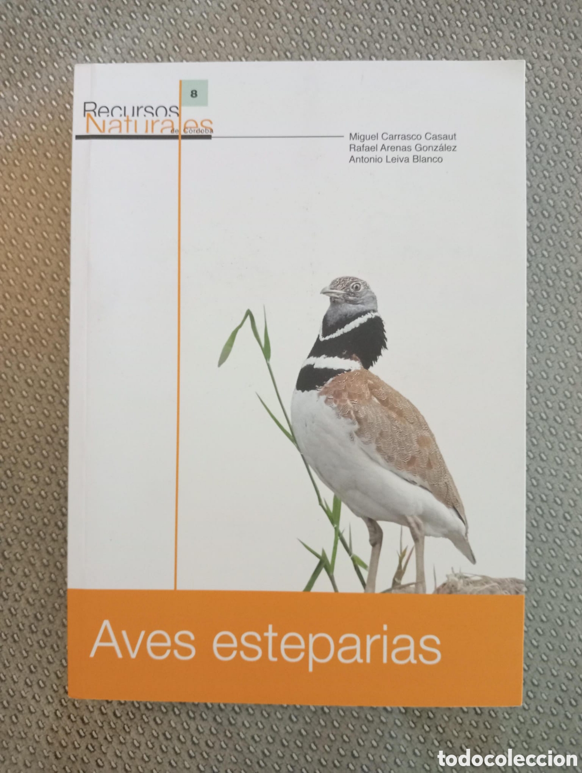 Libros de segunda mano: Aves esteparias. Recursos naturales de C&oacute;rdoba. ecolog&iacute;a y conservaci&oacute;n / Manuel Carrasco et al .