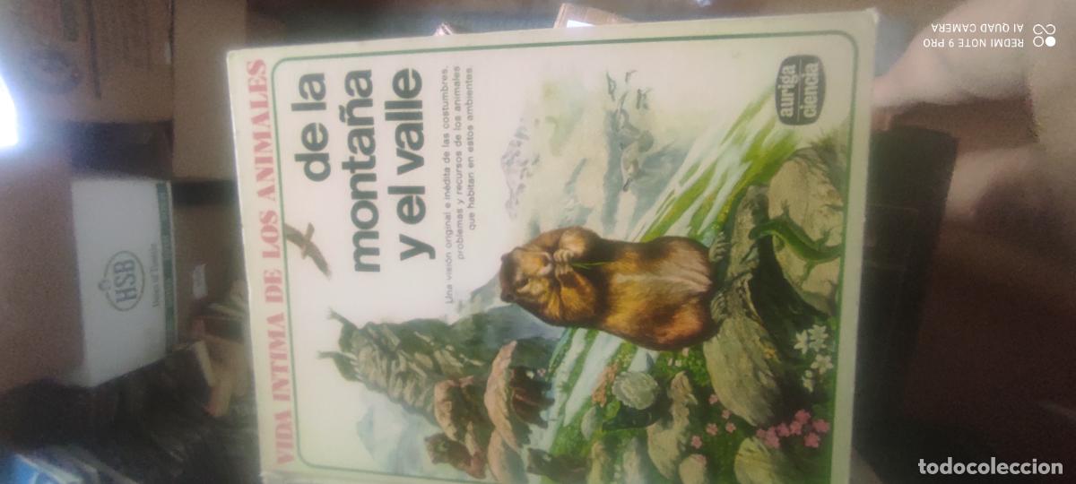 Libros de segunda mano: Vida &iacute;ntima de los animales. De la monta&ntilde;a y el valle - D'AMI, Rinaldo D. (director de la obra)