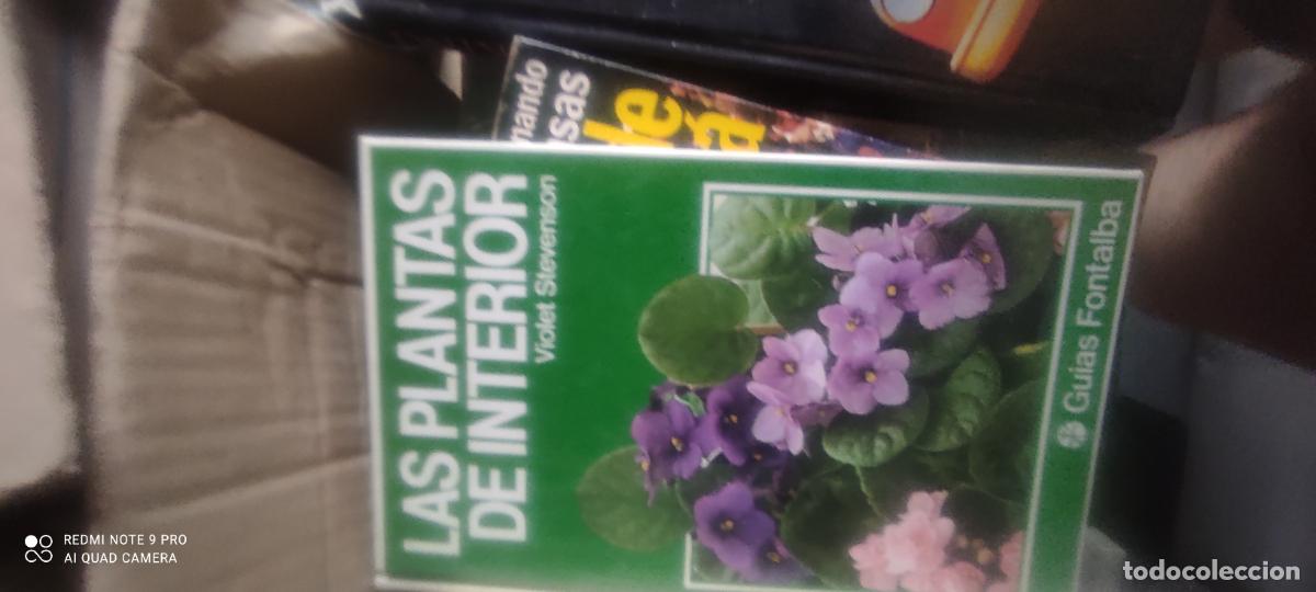 Libros de segunda mano: LAS PLANTAS DE INTERIOR VIOLET STEVENSON