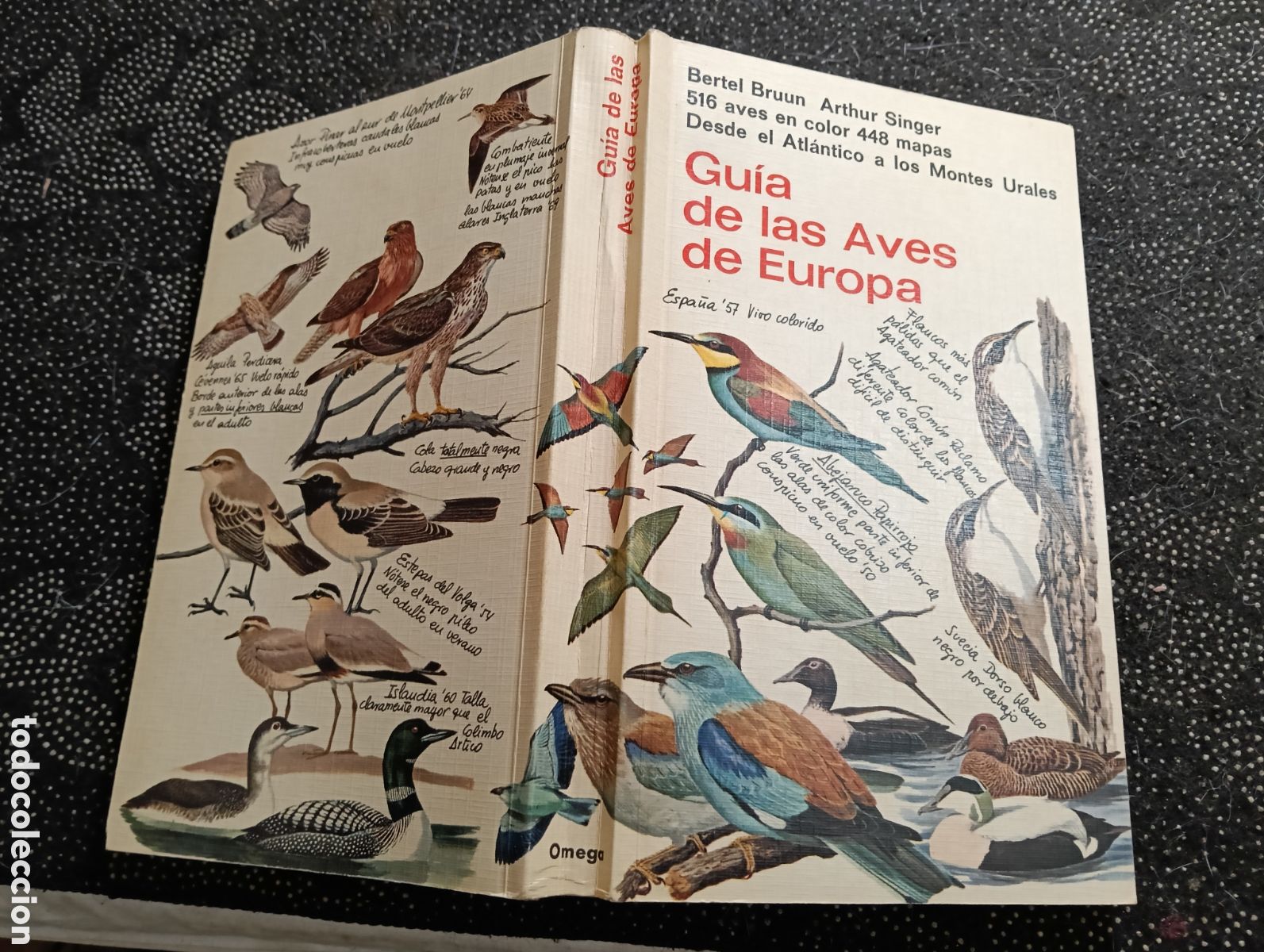 Libros de segunda mano: Libro en perfecto estado GU&Iacute;A DE LAS AVES DE EUROPA ediciones Omega 1971 primera edici&oacute;n.
