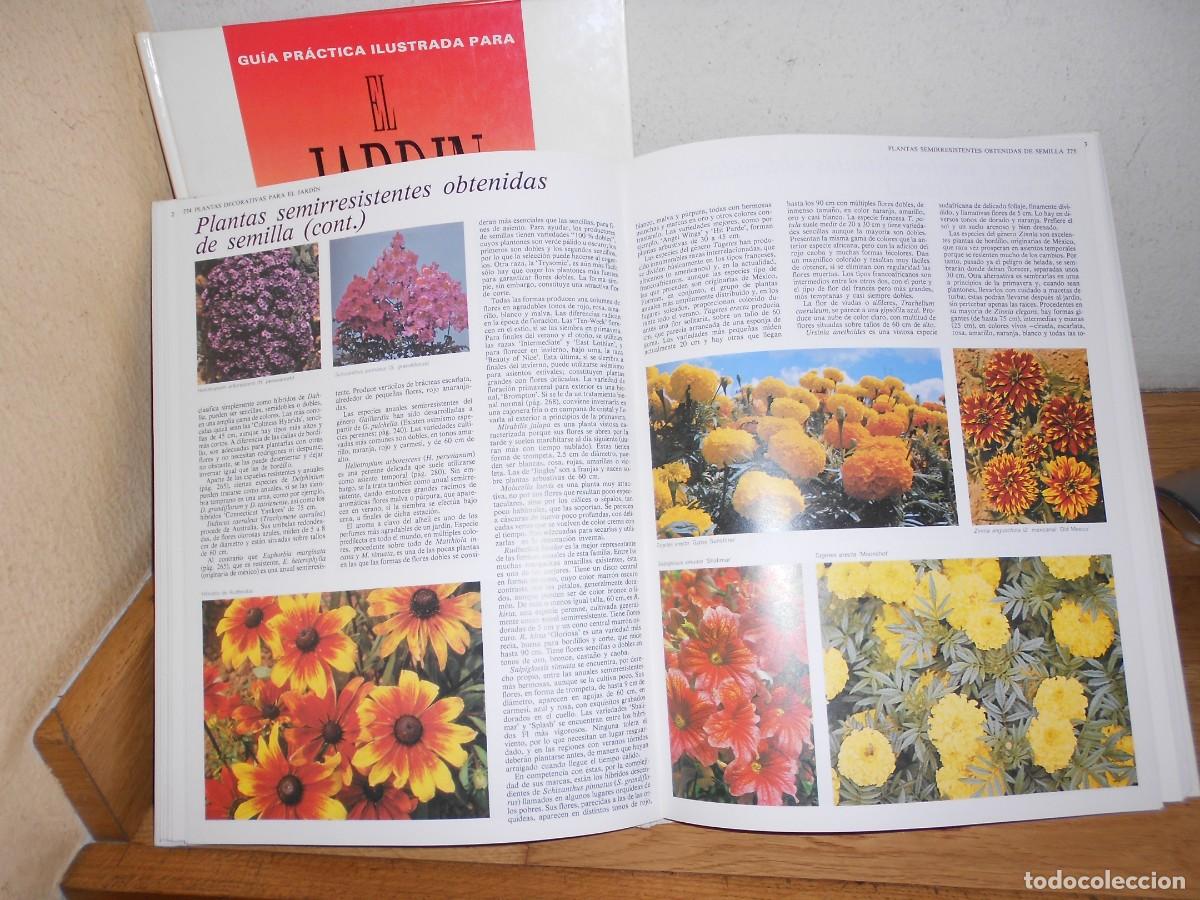 Libros de segunda mano: guia practica ilustrada para el JARDIN 1 y 2 - MICHAEL WRIGHT - 2 LIBROS - 1&euro;y+ - Foto 2