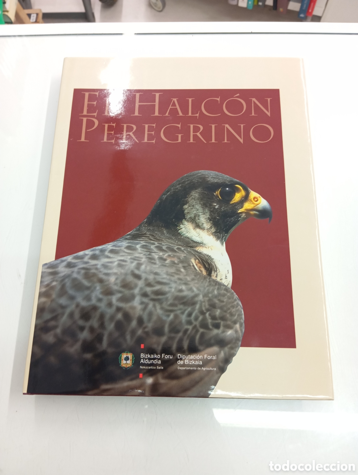 Libros de segunda mano: EL HALCON PEREGRINO VV.AA DIPUTACION FORAL DE BIZKAIA 2002 AVES RAPACES GRAN FORMATO