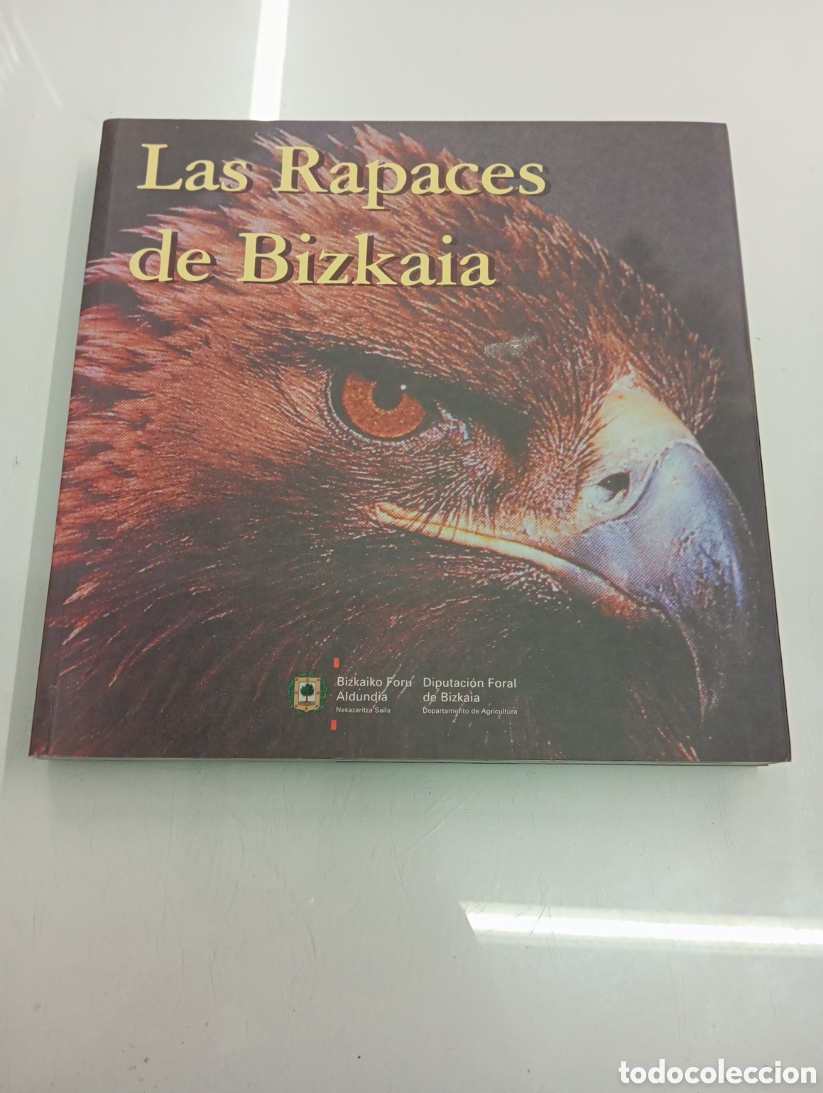 Libros de segunda mano: LAS RAPACES DE BIZKAIA. FERNANDO PEDRO P&Eacute;REZ. EDITA DIPUTACI&Oacute;N FORAL 1999 AGUILAS HALCON BUHO