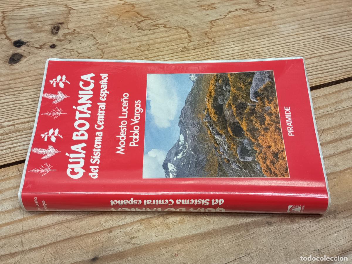 Libros de segunda mano: 1991 - MODESTO LUCE&Ntilde;O / PABLO VARGAS. Gu&iacute;a Bot&aacute;nica del Sistema Central espa&ntilde;ol