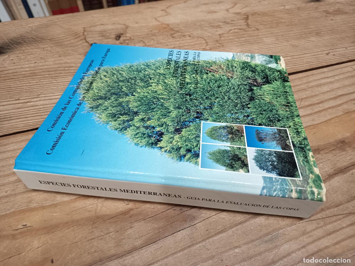 Libros de segunda mano: 1994 - Especies forestales mediterr&aacute;neas &ndash; Gu&iacute;a para la evaluaci&oacute;n de las copas