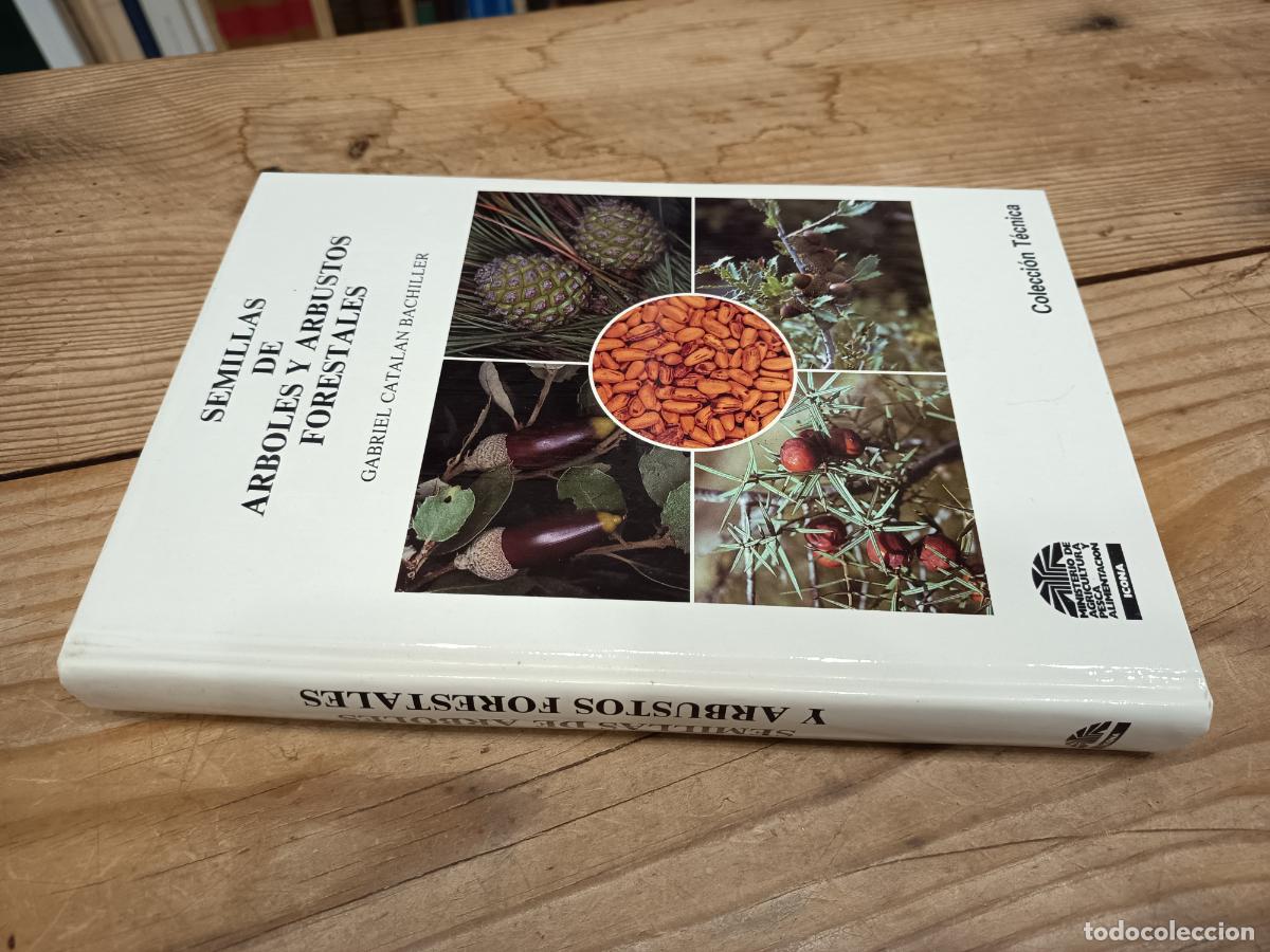 Libros de segunda mano: 1991 - GABRIEL CATALAN BACHILLER. Semillas de &aacute;rboles y arbustos forestales