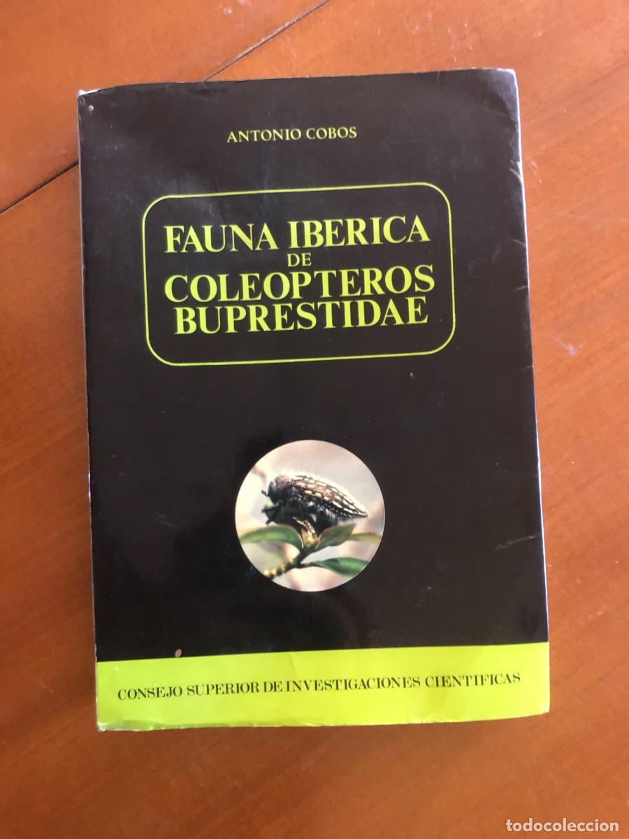 Libros de segunda mano: Fauna ib&eacute;rica de cole&oacute;pteros Buprestidae