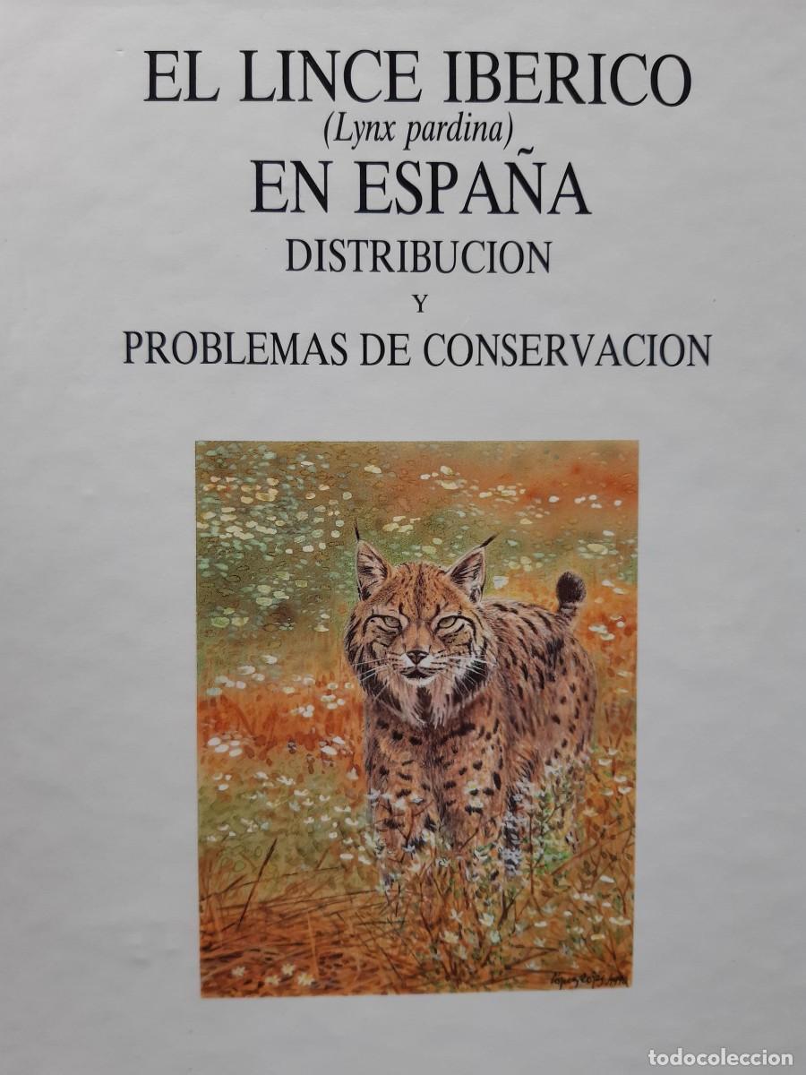 Libros de segunda mano: EL LINCE IB&Eacute;RICO (Lynx Pardina) EN ESPA&Ntilde;A. DISTRIBUCI&Oacute;N Y PROBLEMAS DE CONSERCACI&Oacute;N. RODR&Iacute;GUEZ, Al