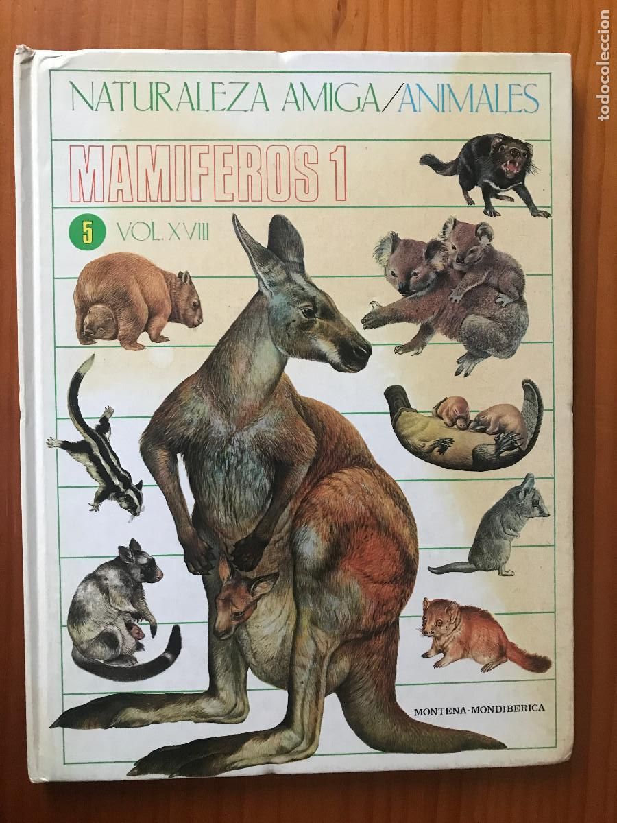 Libros de segunda mano: Naturaleza amiga. Animales. Mam&iacute;feros, 1. Vol. XVIII. Montena Mondiberica