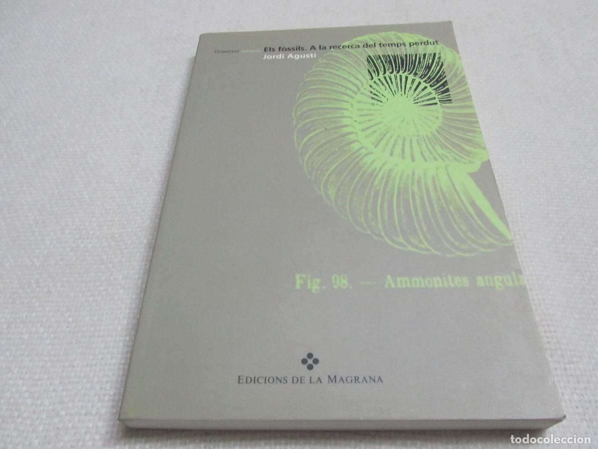 Libros de segunda mano: ELS F&Ograve;SSILS. A LA RECERCA DEL TEMPS PERDUT. LIBRO DE JORDI AGUSTI. EDICIONS DE LA MAGRANA.