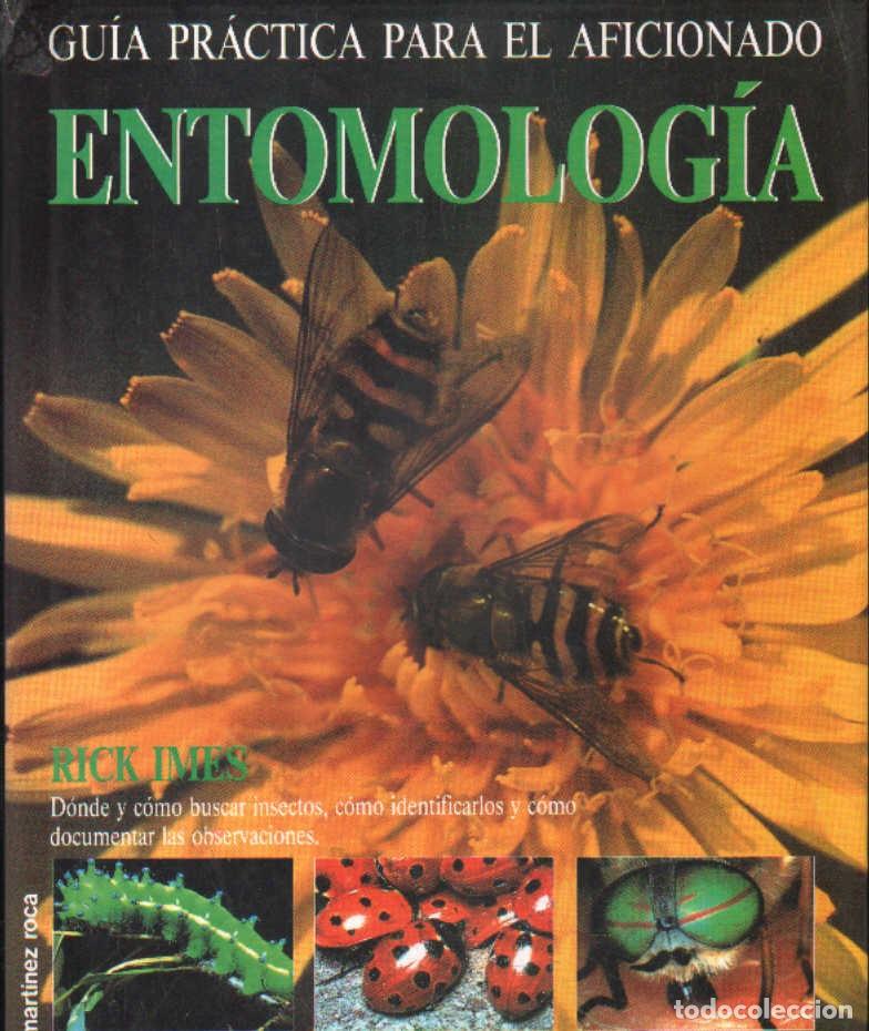 Libros de segunda mano: ENTOMOLOG&Iacute;A. GU&Iacute;A PR&Aacute;CTICA PARA EL AFICIONADO. IMES, RICK. A-ANIMAL-243
