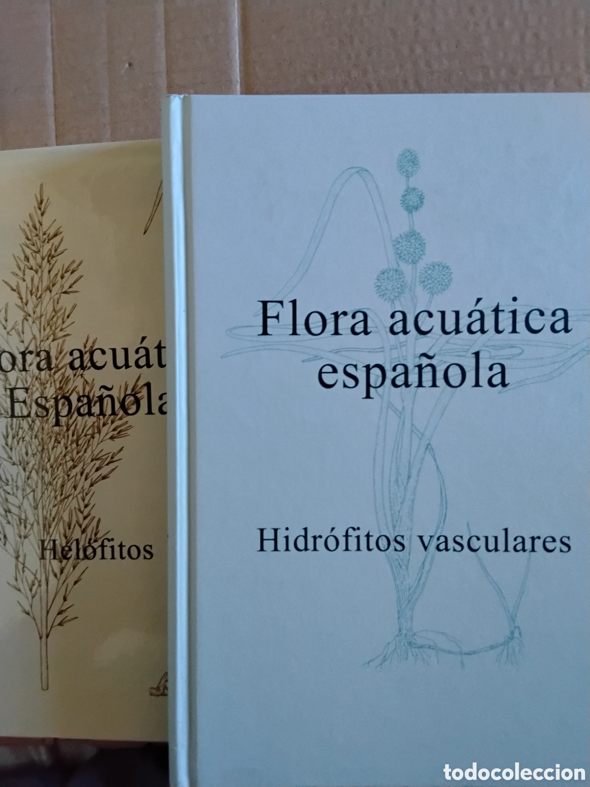 Libros de segunda mano: FLORA ACU&Aacute;TICA ESPA&Ntilde;OLA. HIDR&Oacute;FITOS VASCULARES. HEL&Oacute;FITOS. S. CIRUJANO Y OTROS