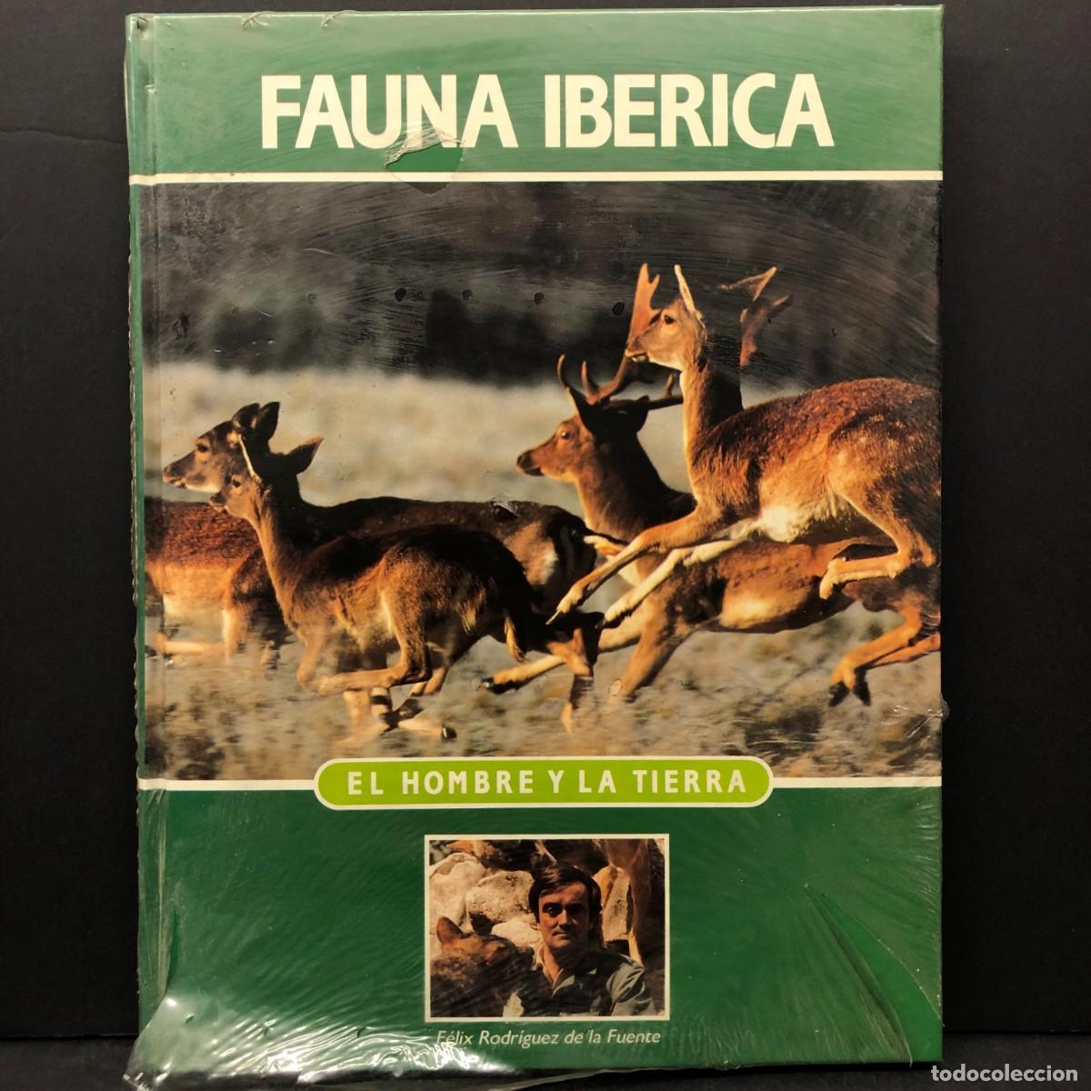 Libros de segunda mano: FAUNA IB&Egrave;RICA - EL HOMBRE Y LA TIERRA - F&Eacute;LIX RODR&Iacute;GUEZ DE LA FUENTE / 110