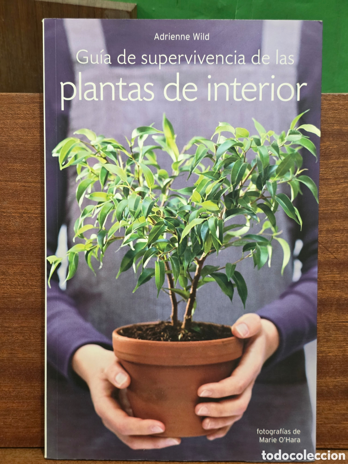 Libros de segunda mano: &rdquo;&rdquo;GU&Iacute;A DE SUPERVIVENCIA DE LAS PLANTAS DE INTERIOR&rdquo;&rdquo;...ADRIENNE WILD...CIRCULO DE LECTORES...2006..