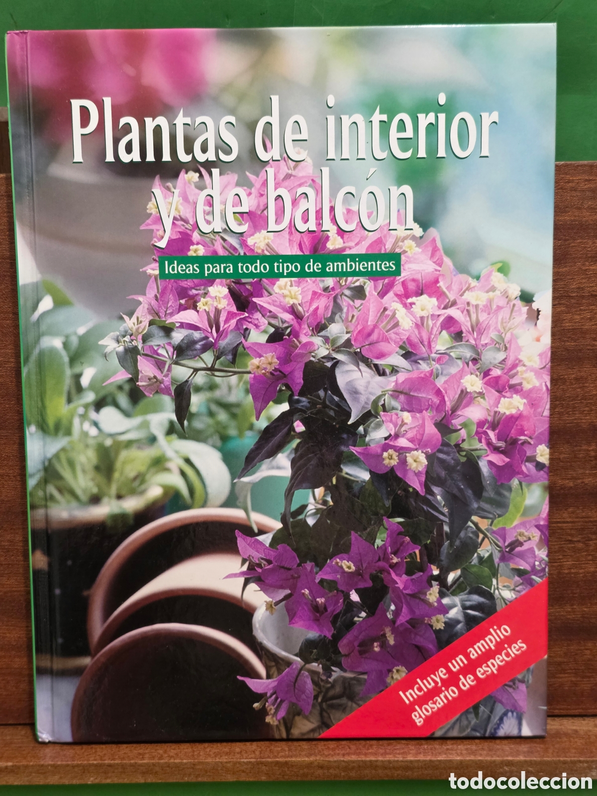Libros de segunda mano: &rdquo;&rdquo;PLANTAS DE INTERIOR Y DE BALCON&rdquo;&rdquo;...IDEAS PARA TODO TIPO DE AMBIENTES...VEMAG...COLONIA...