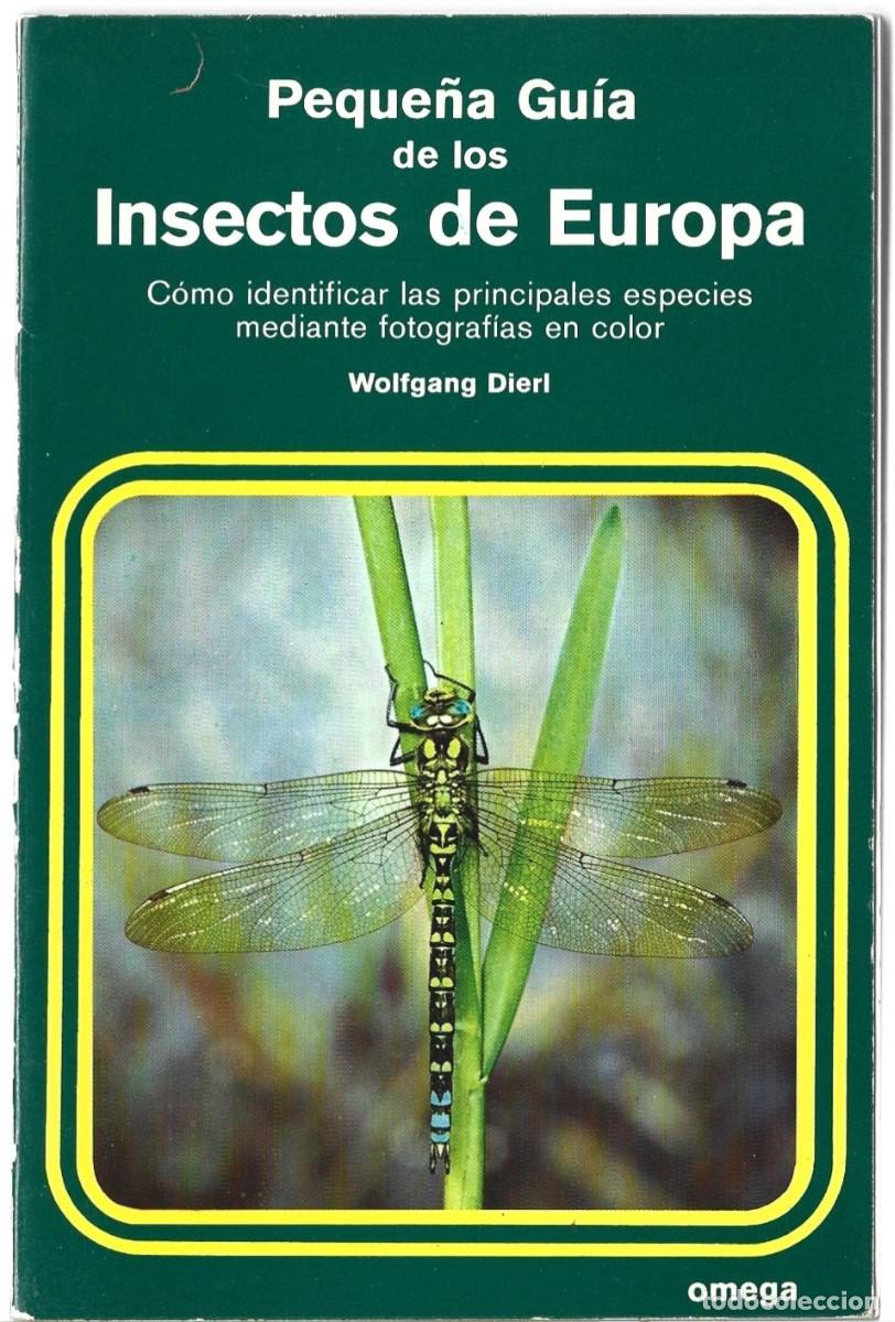 Libros de segunda mano: PEQUE&Ntilde;A GU&Iacute;A DE LOS INSECTOS DE EUROPA, por Wolfgang Dierl. (Ed. Omega, 1978)