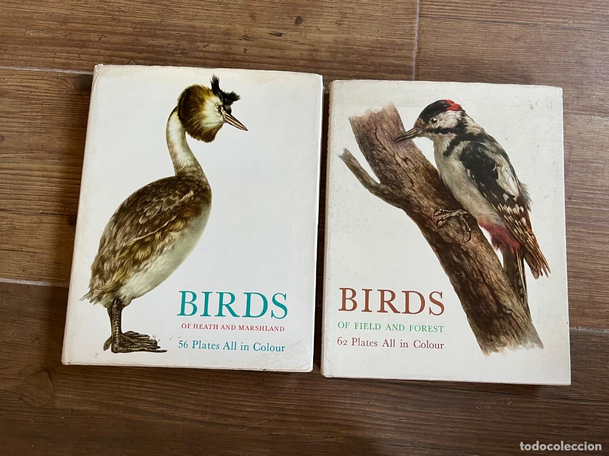 Libros de segunda mano: BIRDS - DE SPRINGFIELD BOOKS - 2 antiguos tomos en ingl&eacute;s con preciosas ilustraciones