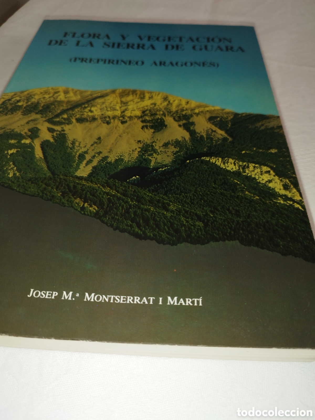 Libros de segunda mano: FLORA Y VEGETACION DE LA SIERRA DE GUARA.- MONSERRAT I MARTI. ED. DGA, 1987 1&ordf;ED. ILUSTRADO.