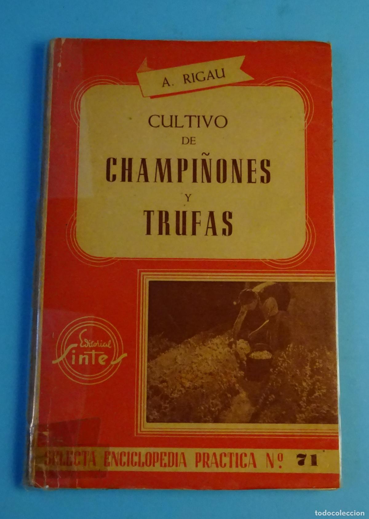 Libros de segunda mano: CULTIVO DE CHAMPI&Ntilde;ONES Y TRUFAS. ALEJO RIGAU