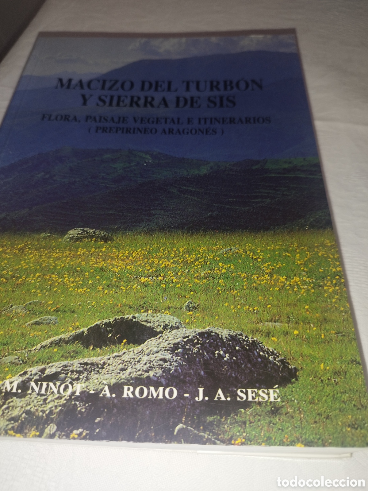 Libros de segunda mano: MACIZO DEL TURBON Y SIERRA DE SIS. FLORA, PAISAJE VEGETAL E ITINERARIOS. DGA, 1993 PRIMERA EDICION