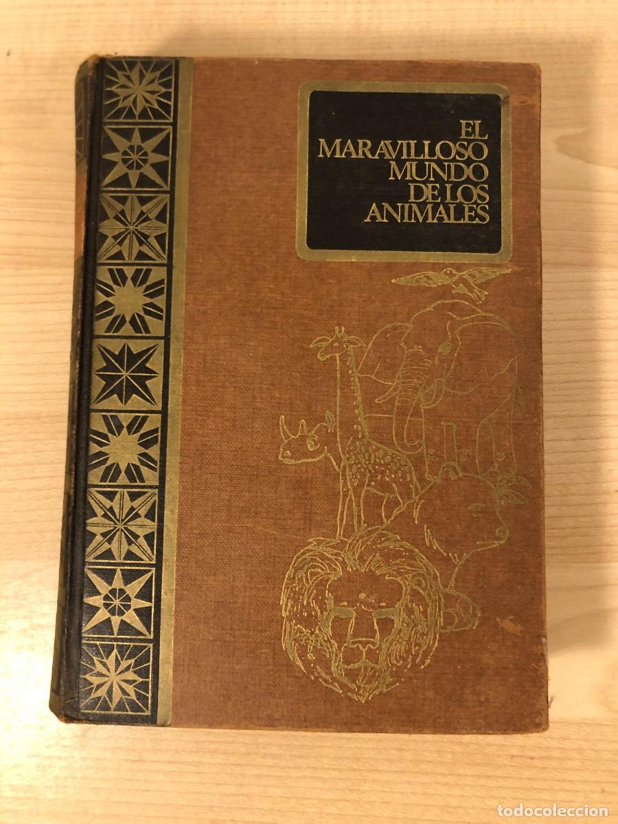 Libros de segunda mano: El maravilloso mundo de los animales Miguel Fust&eacute; Ara Rodegar 1966 zoolog&iacute;a ilustrado